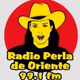 Logo de Radio Perla de Oriente