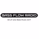 Bass Flow Radio - Channel 1 logo