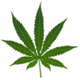 Logo de Ambiance Reggae
