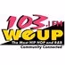 103.1 WEUP - W238AD logo