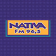 Nativa 96.5 FM logo