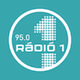 FM95 Rádió 1 Debrecen logo