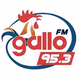 Logo de Gallo FM 95.3 - XHPEDJ