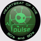 Logo de Vizyon Pulse
