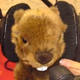 Logo de Radio Marmotte