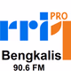 Logo de RRI - PRO 1 Bengkalis