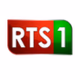 Radio Chaine Nationale logo