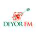 Diyor FM logo