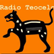 Logo de Radio Teocelo - XEYTM