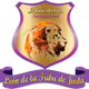 Logo de Radio Leon de la Tribu de Juda