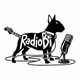 Logo de Radio Bull Terrier