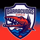 Logo de Barracudas On-line