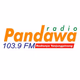 Logo de Radio Pandawa FM