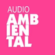 Logo de AUDIO AMBIENTAL
