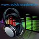 Logo de Radioknesselare