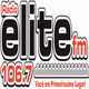 Logo de Rádio Elite FM 106.7