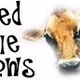 Feed The Cows Radio logo