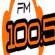 Logo de Radio Ricardone 100.5