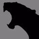 The Cat - WCGX logo
