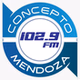 Concepto FM logo