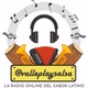 VallePlaySalsa logo