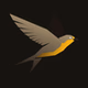 HiveWeaver FM logo