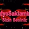 Radyo Saklambaç logo