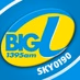 Logo de Big L1 1395 AM