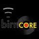 The BIRN - birnCORE logo
