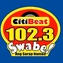 CitiBeat 102.3 - DWKV logo