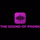 Logo de 24/7 Phonk Radio