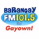 Barangay FM 101.5 Naga - DWQW logo