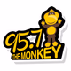 Logo de 95.7 The Monkey - K239CP