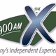 Logo de The X - WABY