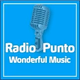Logo de Radio Punto - Wonderful Music
