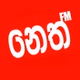 Neth FM logo