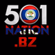 Logo de 501Nation.Bz