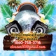 Ritmo Tropical Radio logo