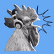 Logo de The Coop: Cornish Radio
