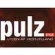 Pulz Fm logo