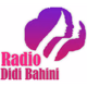 Logo de Radio Didi Bahini 95.2
