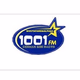Logo de 1001 FM