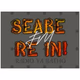 Logo de SeabeReInFM