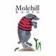 Molehill Radio logo
