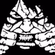 Studnia Radio logo