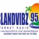 Island Vibz logo
