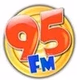 Rádio 95 FM logo