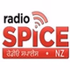Radio Spice 88.0 logo