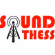 Logo de Sound Thess