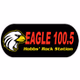 Eagle 100.5 - K263AZ logo